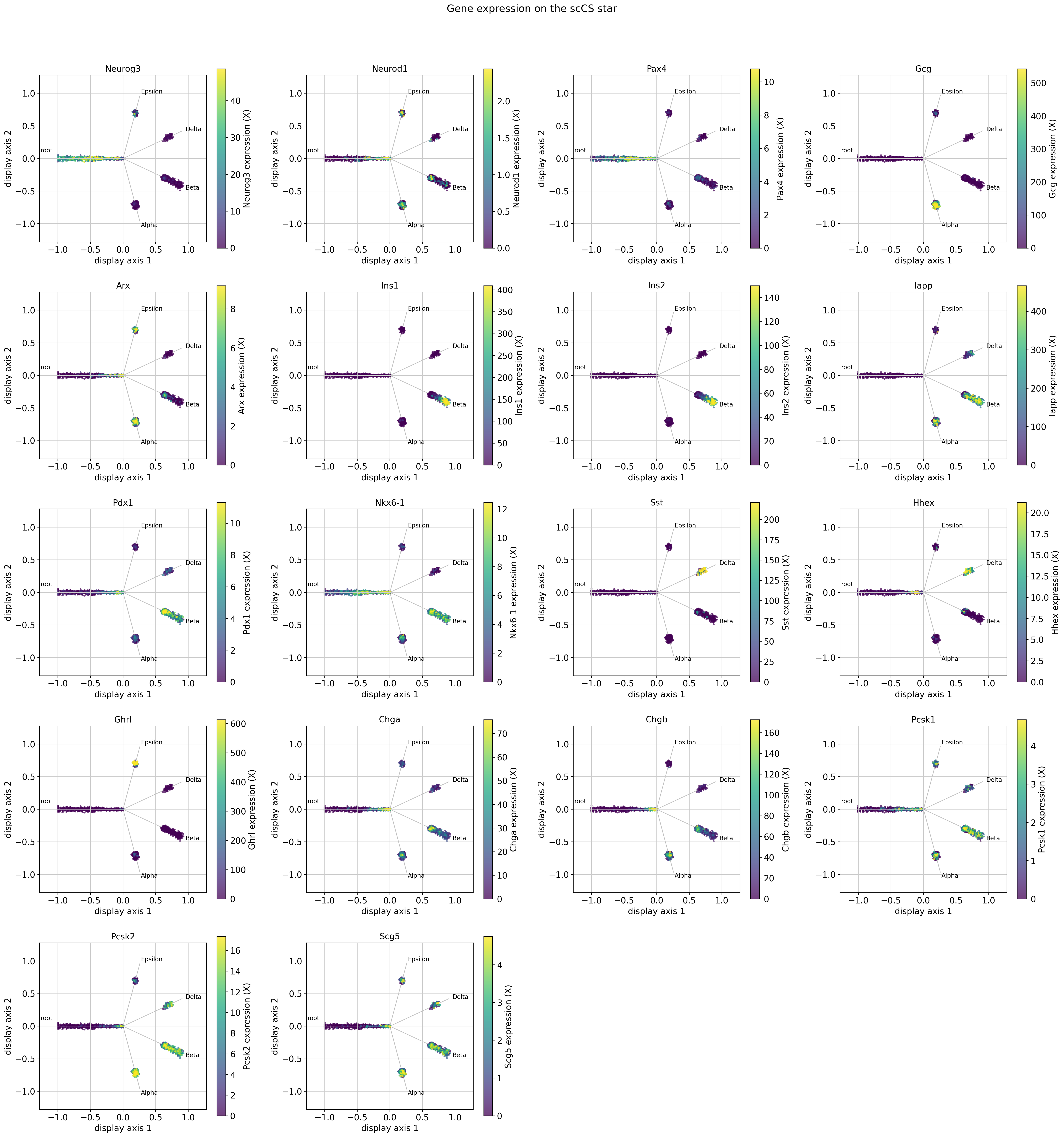 ../_images/tutorials_10_pancreas_downstream_analysis_17_0.png