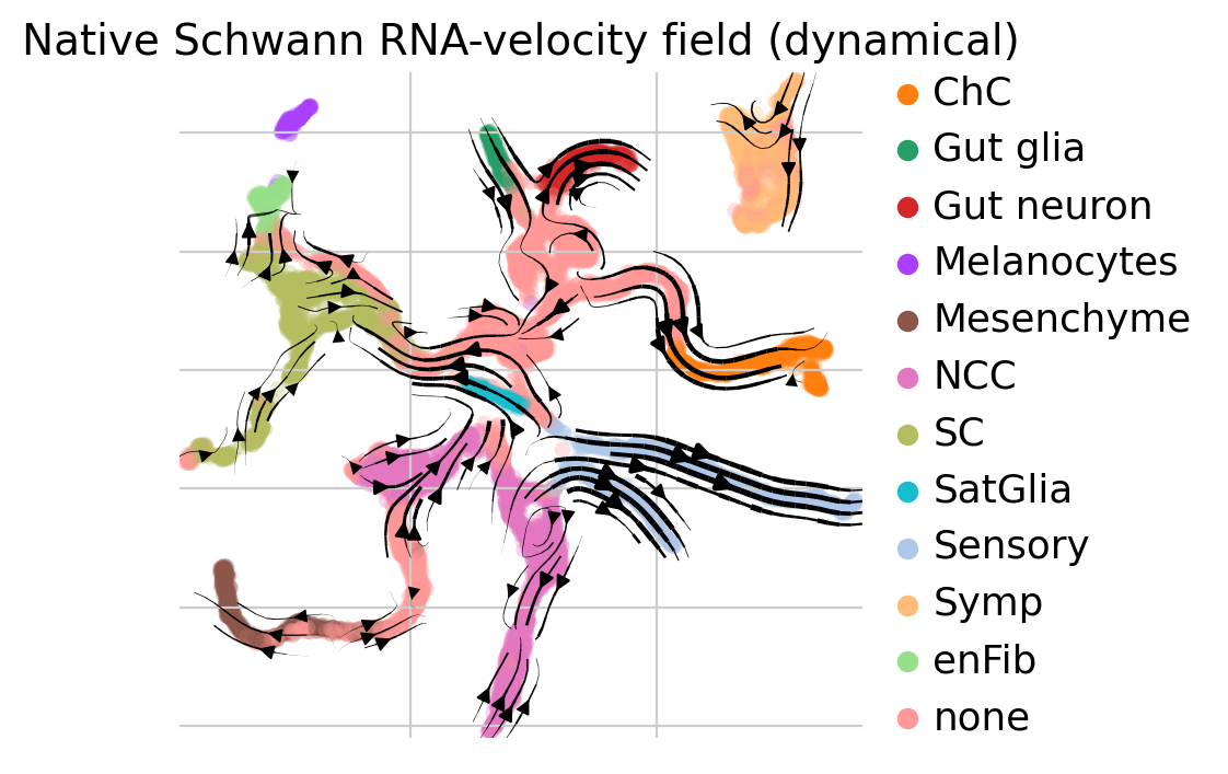 ../_images/tutorials_02_schwann_single_scorer_8_2.png