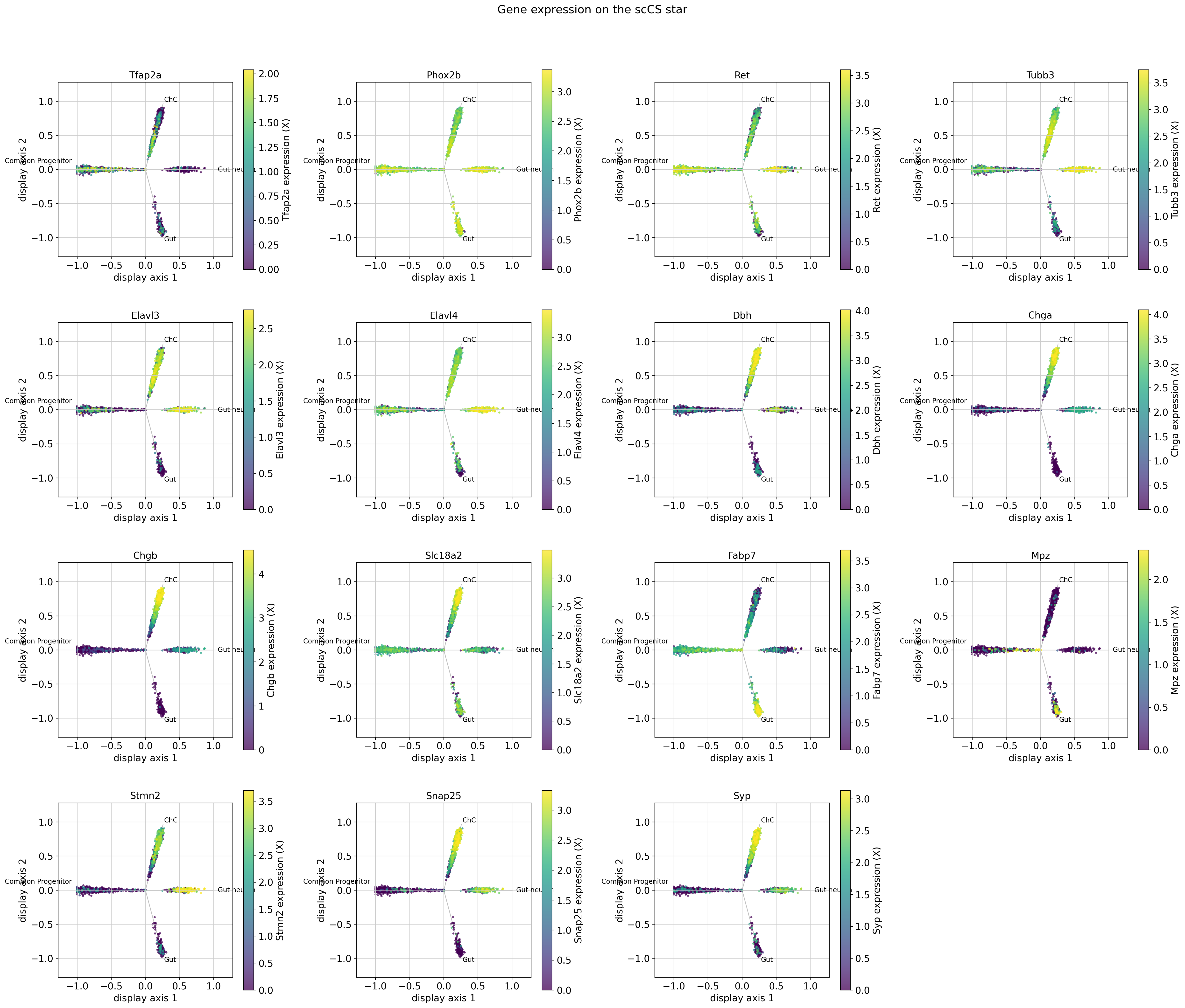 ../_images/tutorials_11_schwann_downstream_analysis_17_0.png