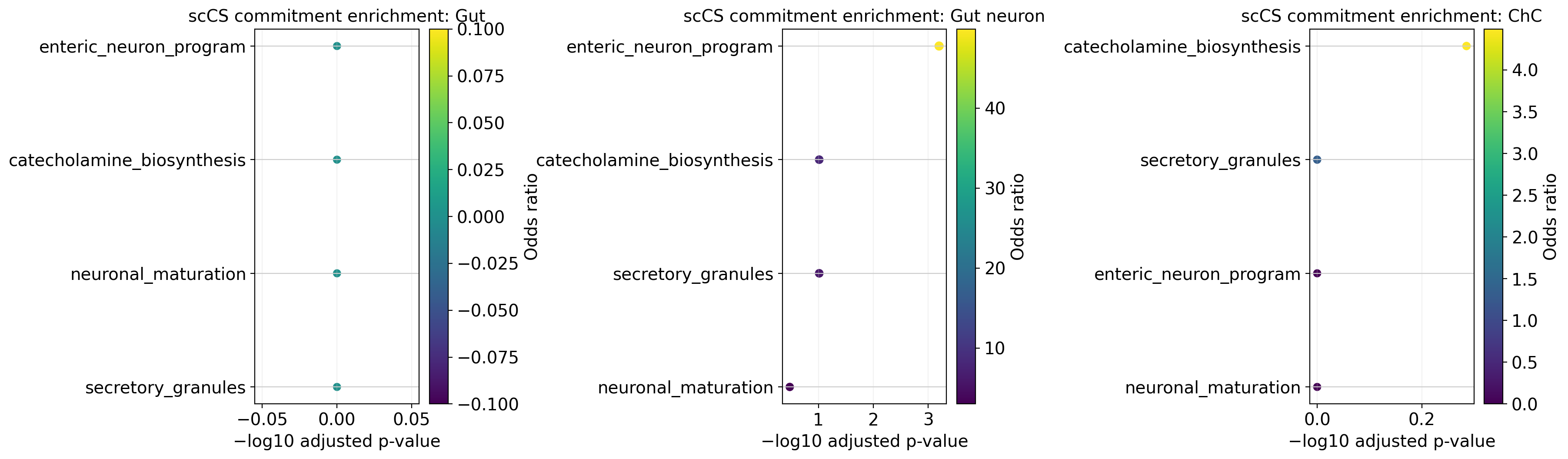 ../_images/tutorials_11_schwann_downstream_analysis_28_1.png